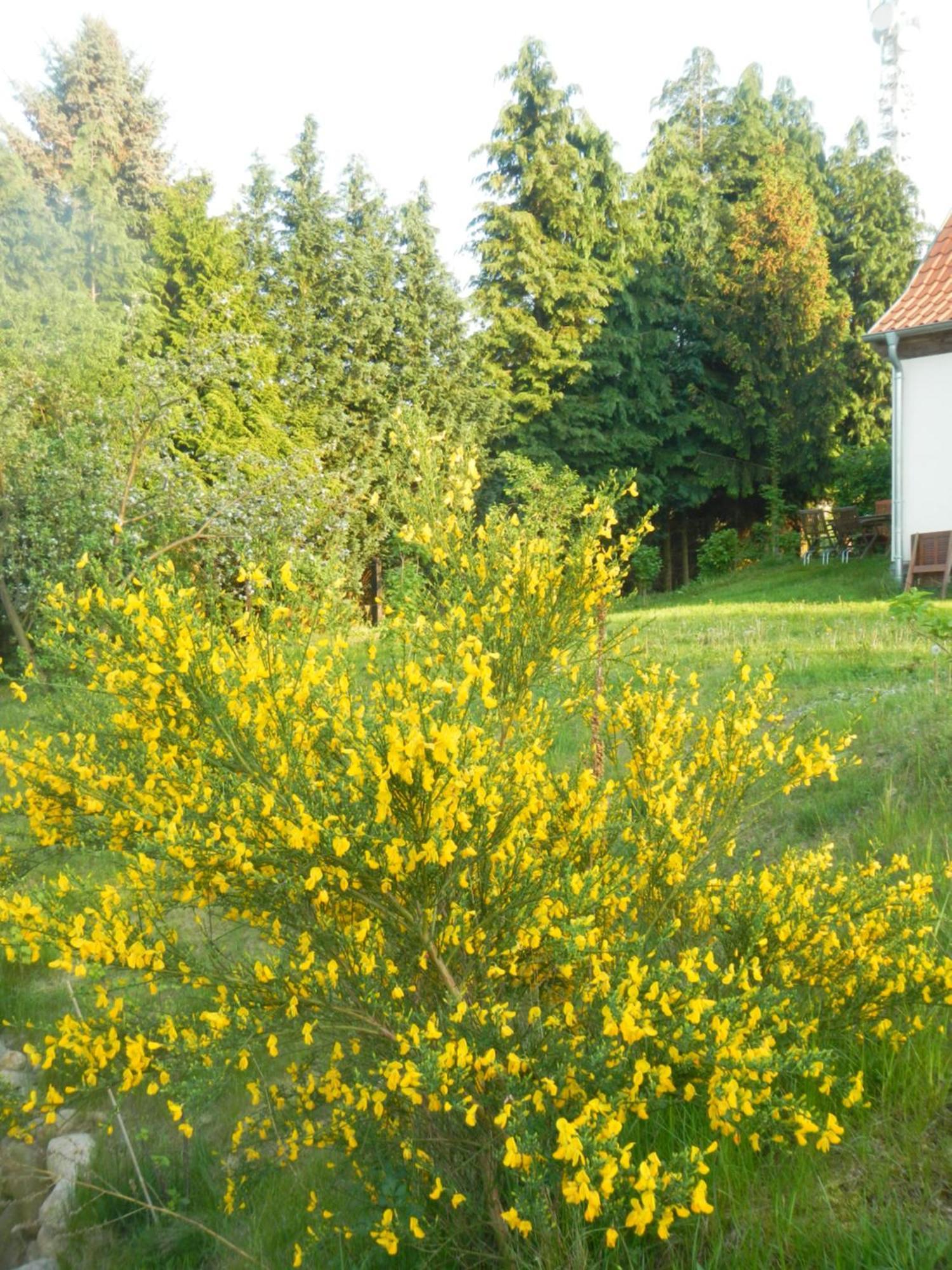Ferienlandhaus Zempow Luaran gambar