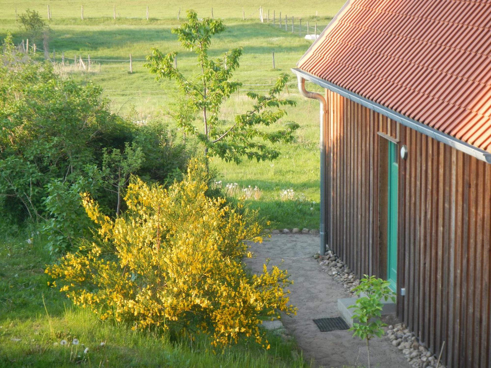 Ferienlandhaus Zempow Luaran gambar