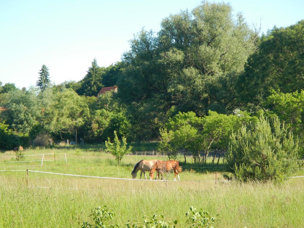 Ferienlandhaus Zempow Luaran gambar