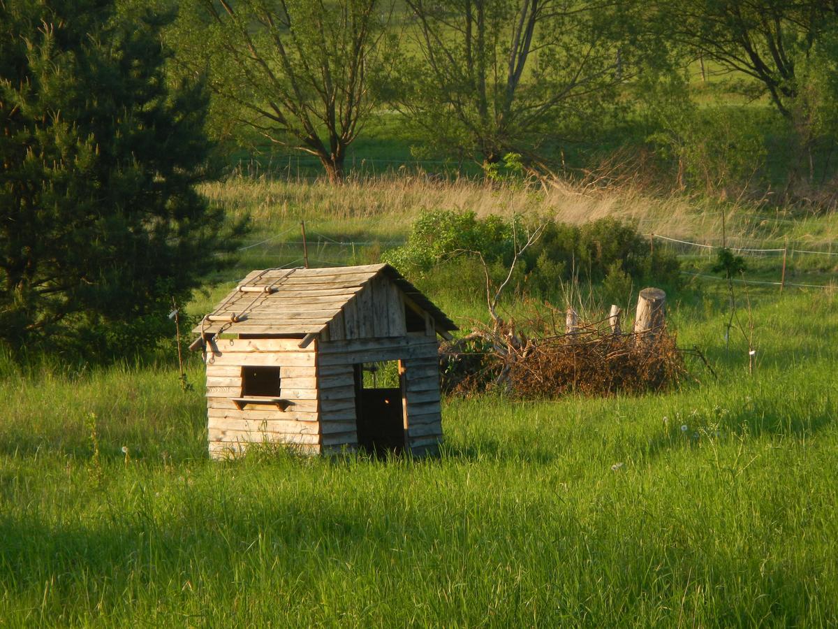 Ferienlandhaus Zempow Luaran gambar